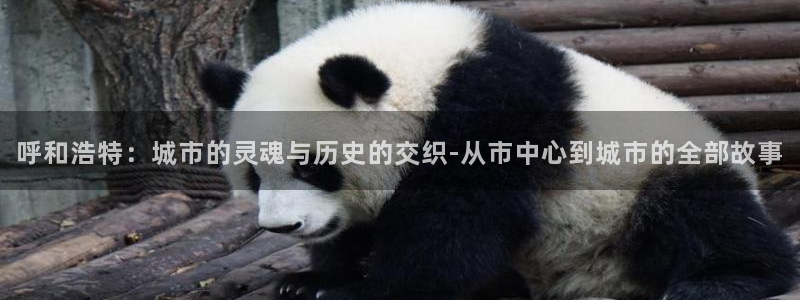 风暴娱乐派对：呼和浩特：城市的灵魂与历史的交织-从市中心到城