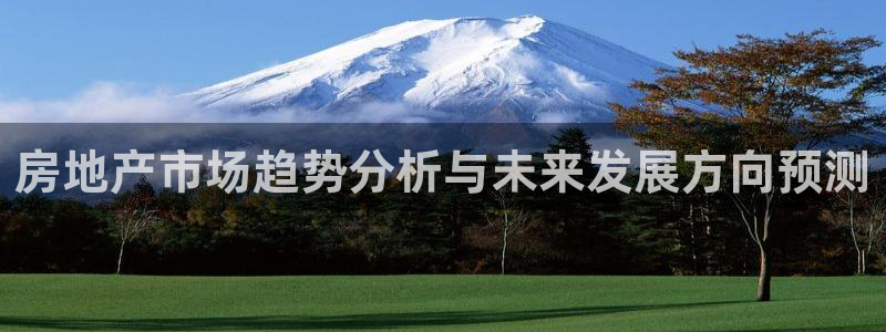 风暴平娱乐：房地产市场趋势分析与未来发展方向预测