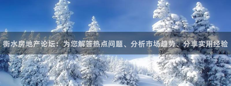 风暴娱乐下载：衡水房地产论坛：为您解答热点问题、分析市场趋势