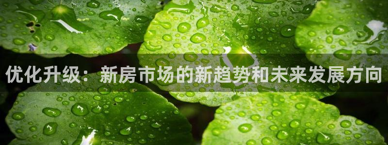 风暴娱乐fb：优化升级：新房市场的新趋势和未来发展方向