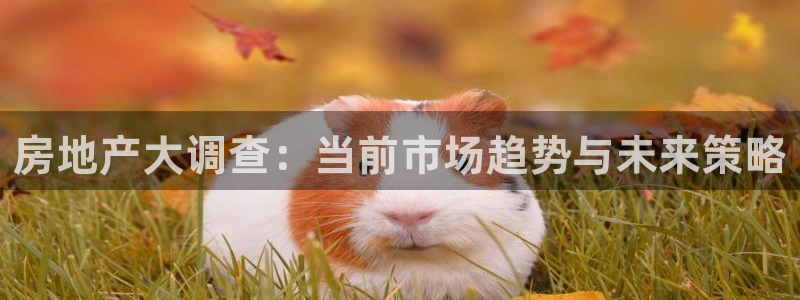 风暴娱乐5O6917：房地产大调查：当前市场趋势与未来策略