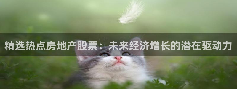 风暴娱乐号：精选热点房地产股票：未来经济增长的潜在驱动力