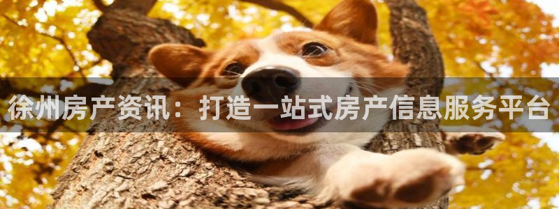 娱乐风暴二：徐州房产资讯：打造一站式房产信息服务平台