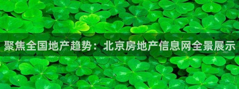 风暴大厅娱乐：聚焦全国地产趋势：北京房地产信息网全景展示