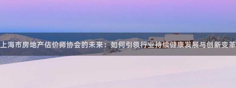 风暴娱乐1980：上海市房地产估价师协会的未来：如何引领行业