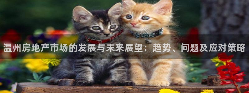 风暴娱乐园：温州房地产市场的发展与未来展望：趋势、问题及应对