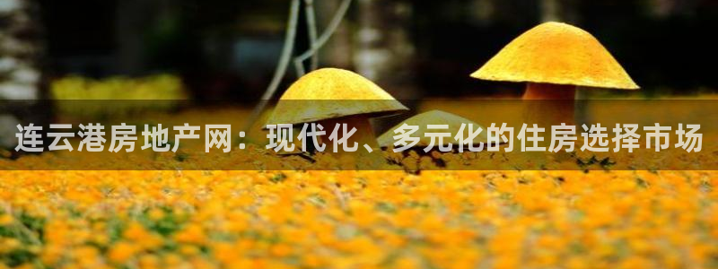 风暴英雄娱乐：连云港房地产网：现代化、多元化的住房选择市场