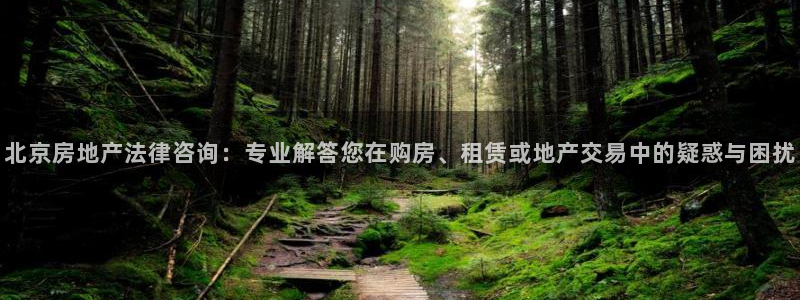 风暴娱乐40996：北京房地产法律咨询：专业解答您在购房、租