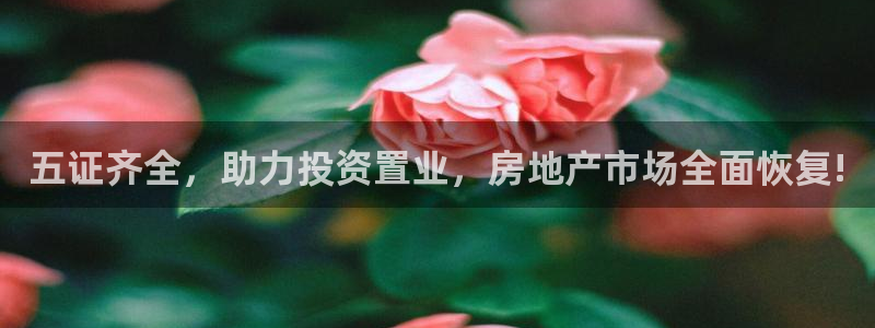 娱乐星空风暴：五证齐全，助力投资置业，房地产市场全面恢复!