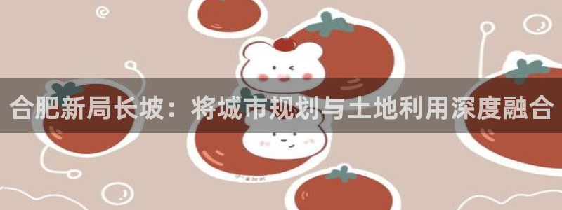 风暴娱乐厅：合肥新局长坡：将城市规划与土地利用深度融合