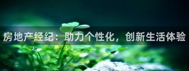 娱乐风暴港：房地产经纪：助力个性化，创新生活体验