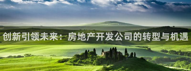 风暴娱乐左5指尖：创新引领未来：房地产开发公司的转型与机遇