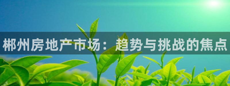 娱乐风暴合集：郴州房地产市场：趋势与挑战的焦点