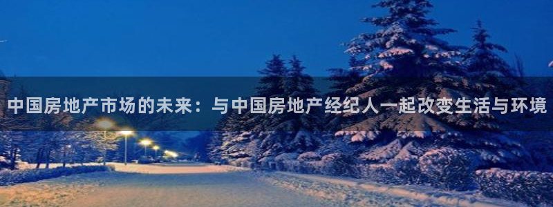 风暴娱乐求333OOa：中国房地产市场的未来：与中国房地产经