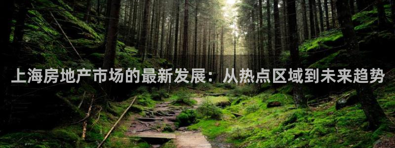 风暴娱乐1980：上海房地产市场的最新发展：从热点区域到未来