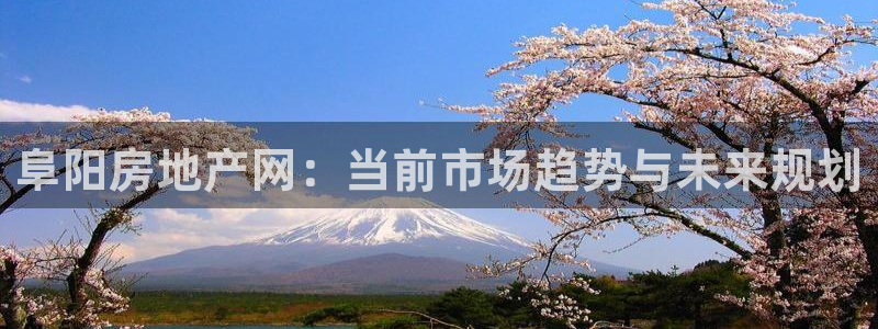 风暴娱乐汇：阜阳房地产网：当前市场趋势与未来规划