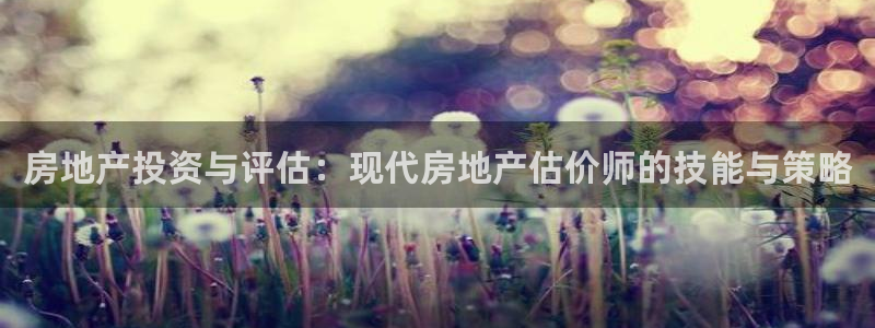 风暴娱乐1：房地产投资与评估：现代房地产估价师的技能与策略