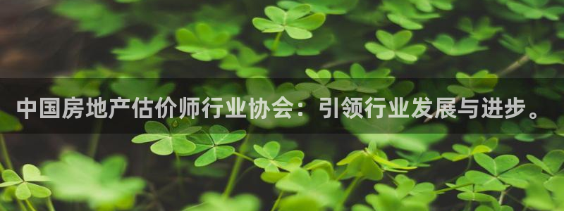 风暴娱乐实况：中国房地产估价师行业协会：引领行业发展与进步。