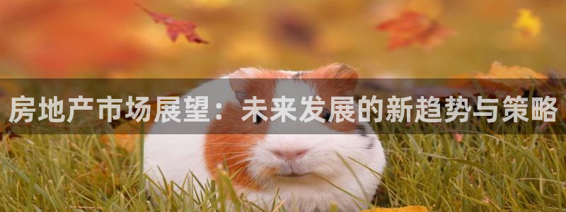 风暴娱乐这个平台靠谱：房地产市场展望：未来发展的新趋势与策略