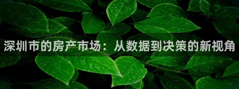 风暴娱乐求333OOc：深圳市的房产市场：从数据到决策的新视