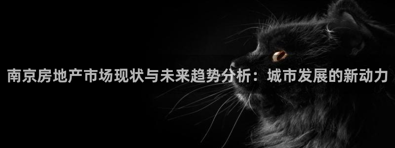 风暴娱乐首页：南京房地产市场现状与未来趋势分析：城市发展的新