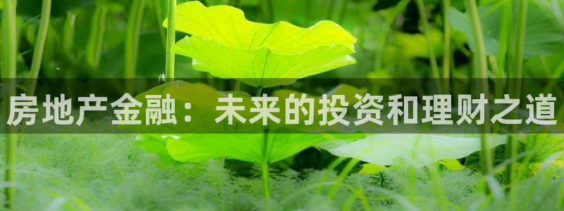娱乐星空风暴：房地产金融：未来的投资和理财之道