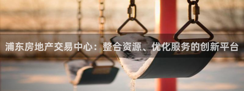 风暴官方娱乐：浦东房地产交易中心：整合资源、优化服务的创新平