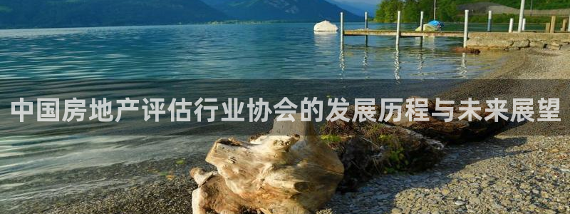 娱乐风暴2：中国房地产评估行业协会的发展历程与未来展望