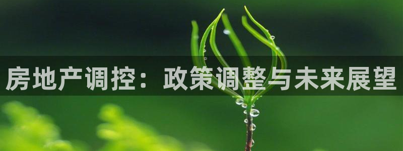 风暴娱乐提现：房地产调控：政策调整与未来展望