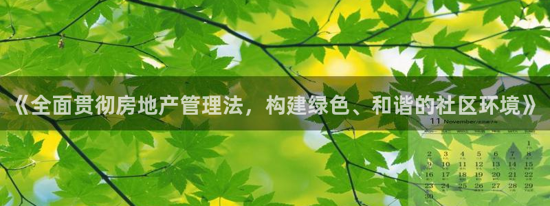 风暴娱乐字图片大全：《全面贯彻房地产管理法，构建绿色、和谐的