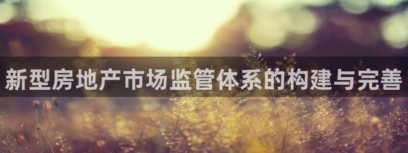 风暴注册娱乐：新型房地产市场监管体系的构建与完善