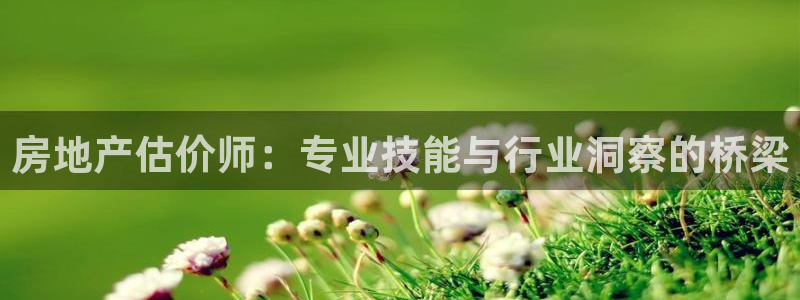 风暴娱乐右5指尖：房地产估价师：专业技能与行业洞察的桥梁
