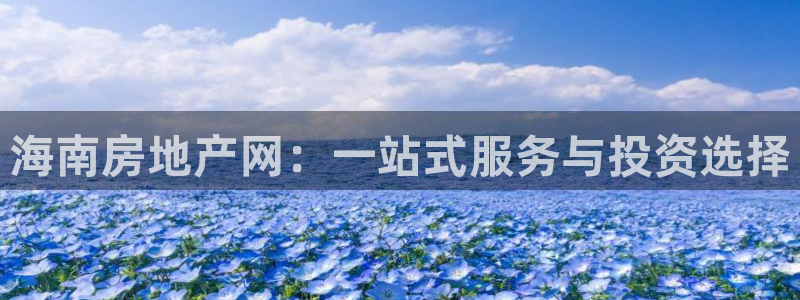 风暴娱乐待遇：海南房地产网：一站式服务与投资选择