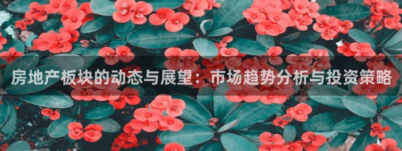 风暴娱乐眼：房地产板块的动态与展望：市场趋势分析与投资策略