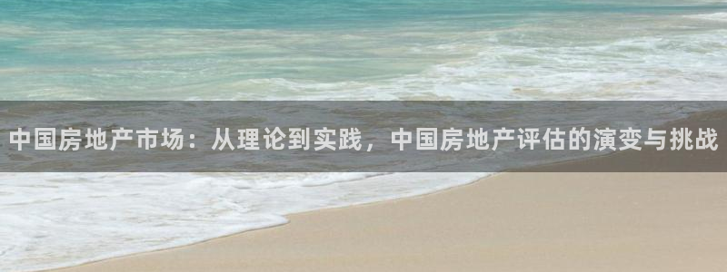 风暴娱乐点：中国房地产市场：从理论到实践，中国房地产评估的演