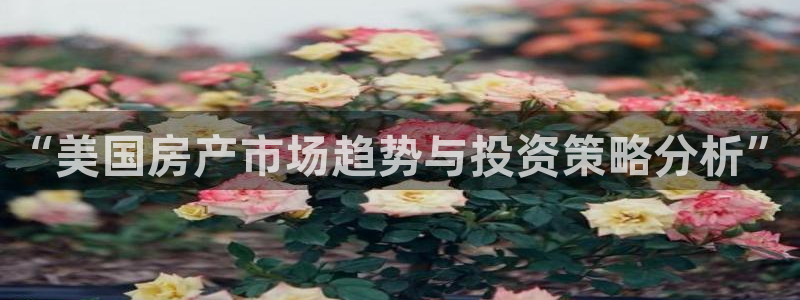 风暴娱乐有5指尖：“美国房产市场趋势与投资策略分析”