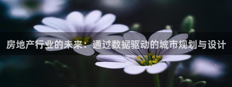 风暴数字娱乐：房地产行业的未来：通过数据驱动的城市规划与设计