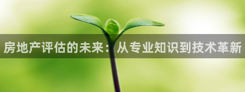 风暴娱乐眼：房地产评估的未来：从专业知识到技术革新
