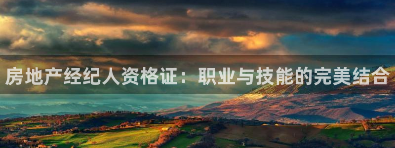 风暴娱乐眼：房地产经纪人资格证：职业与技能的完美结合