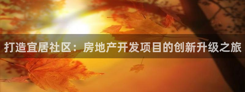 风暴娱乐主页：打造宜居社区：房地产开发项目的创新升级之旅