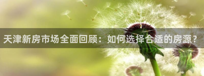 风暴娱乐套路：天津新房市场全面回顾：如何选择合适的房源？