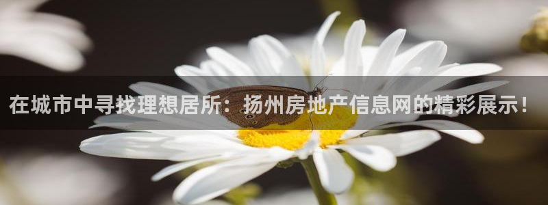 风暴娱乐右5指尖：在城市中寻找理想居所：扬州房地产信息网的精