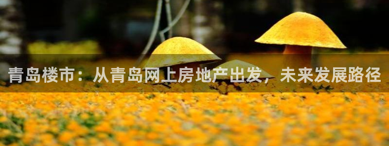 菲律宾风暴娱乐集团：青岛楼市：从青岛网上房地产出发，未来发展