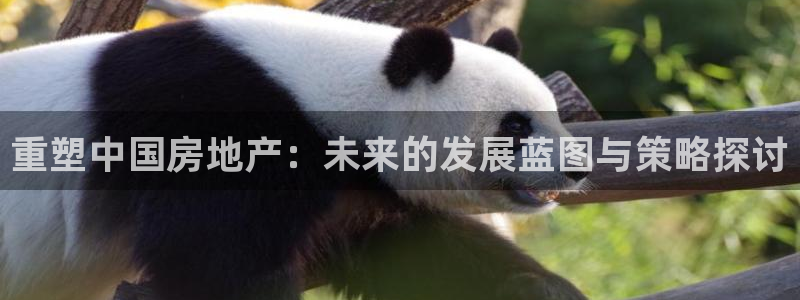 娱乐星空风暴：重塑中国房地产：未来的发展蓝图与策略探讨