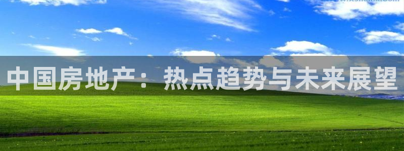 风暴娱乐40996：中国房地产：热点趋势与未来展望