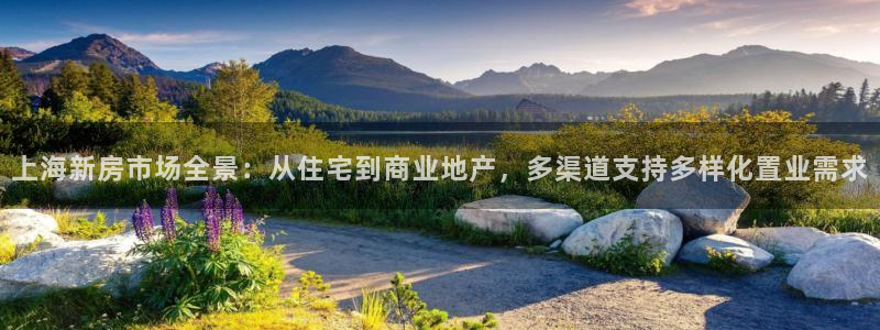 风暴娱乐有5指尖：上海新房市场全景：从住宅到商业地产，多渠道