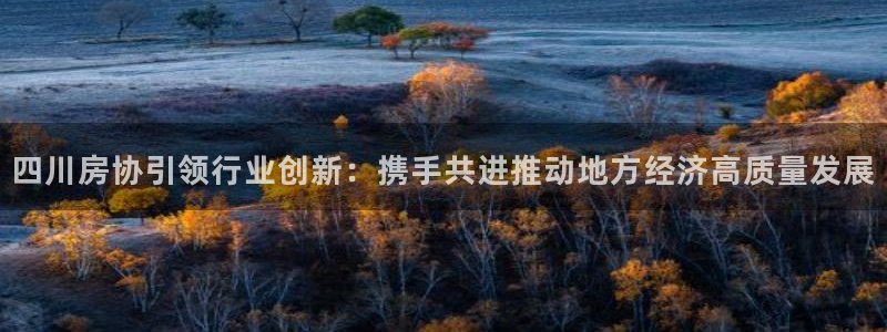 风暴娱乐1：四川房协引领行业创新：携手共进推动地方经济高质量
