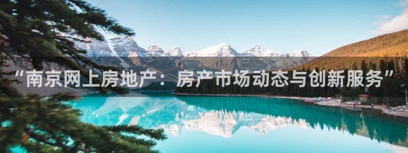 风暴注册娱乐：“南京网上房地产：房产市场动态与创新服务”