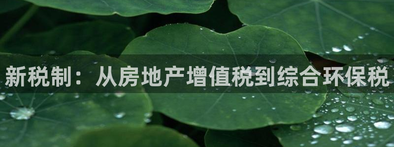 风暴娱乐有5指尖：新税制：从房地产增值税到综合环保税