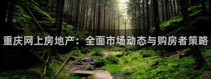 风暴娱乐测速：重庆网上房地产：全面市场动态与购房者策略